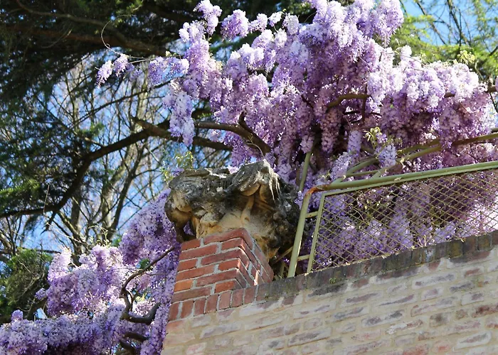 La Cuccagna Di Don Bosco - No Landlords And Neighbours - Absolute Privacy! 아파트호텔 3*